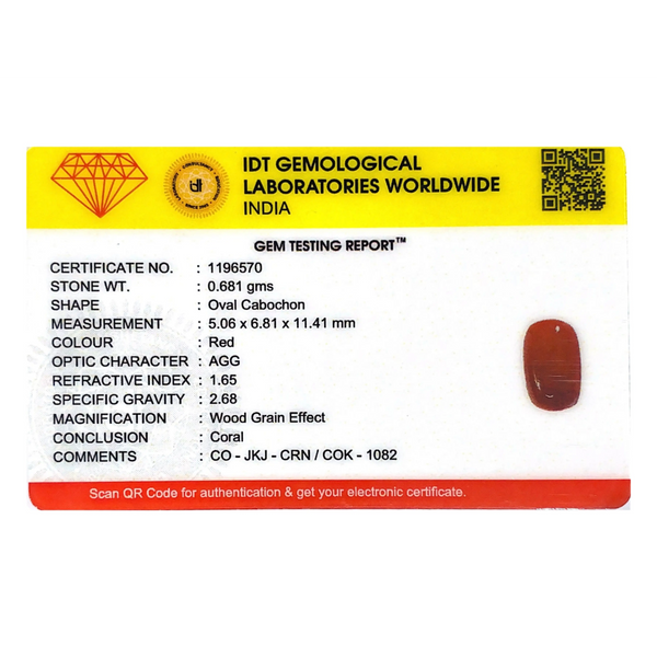 Red Coral - 3.41 Carat