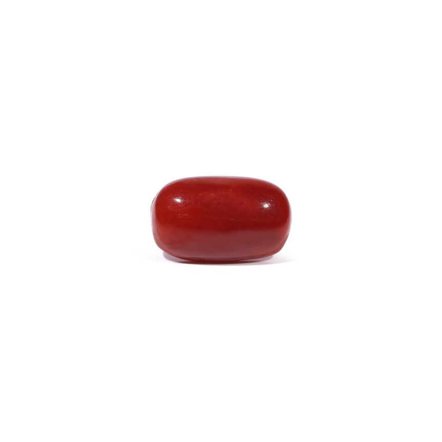 Red Coral - 3.46 Carat - Pramogh