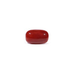Red Coral - 3.46 Carat - Pramogh