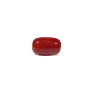 Red Coral - 3.46 Carat - Pramogh