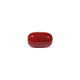 Red Coral - 3.46 Carat - Pramogh