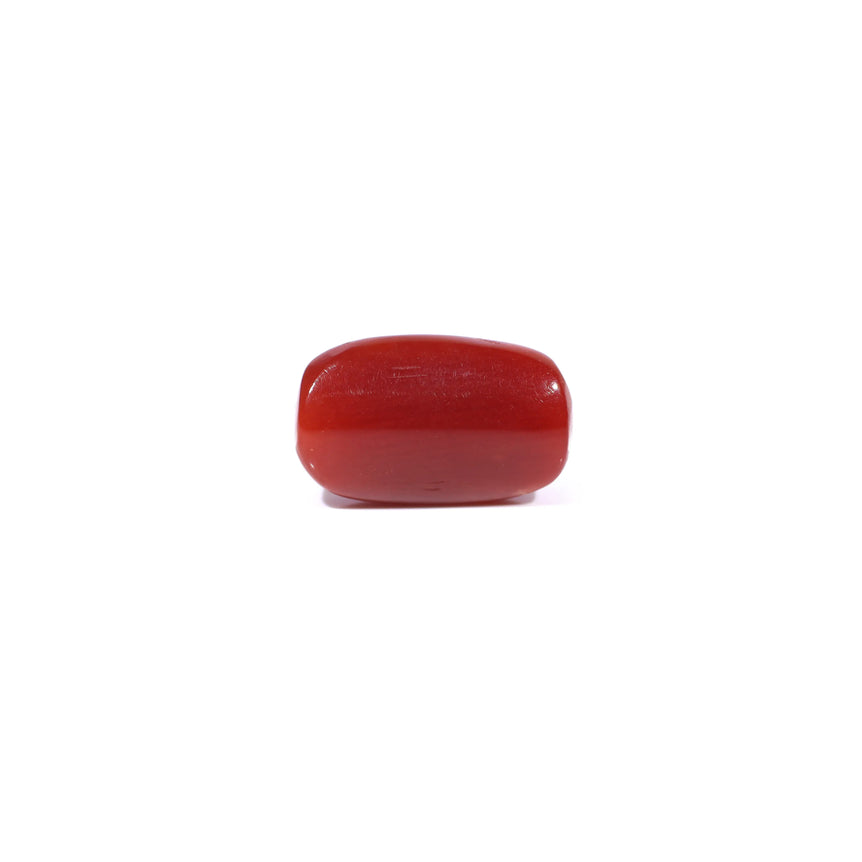 Red Coral - 3.46 Carat