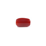 Red Coral - 3.46 Carat