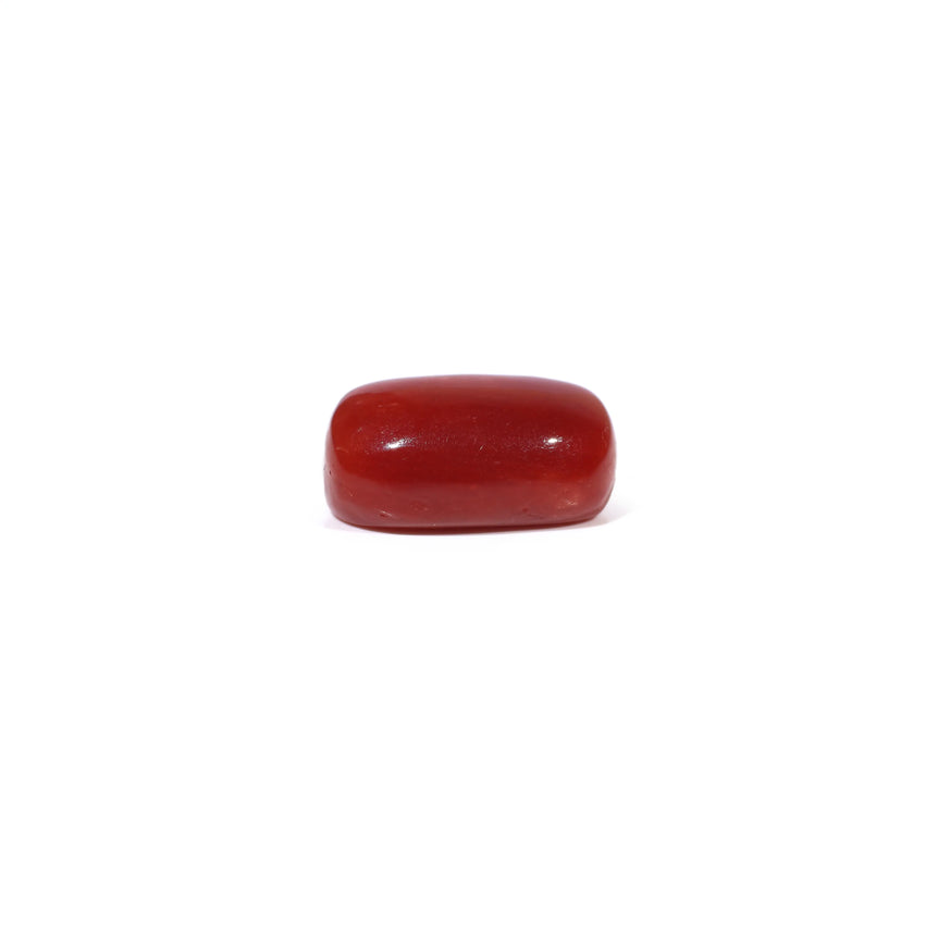 Red Coral - 3.46 Carat