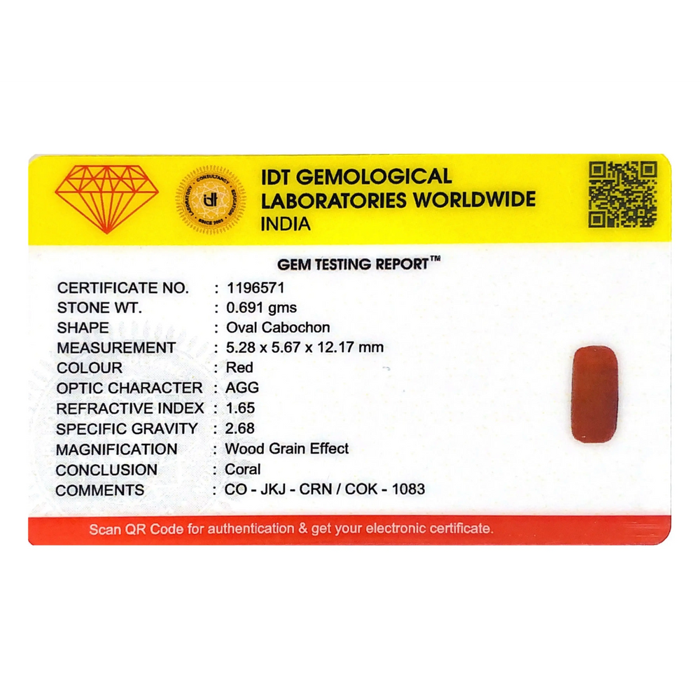 Red Coral - 3.46 Carat