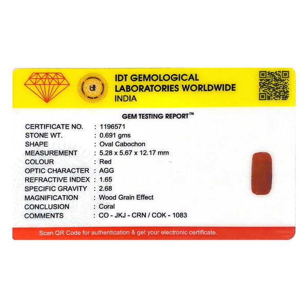 Red Coral - 3.46 Carat