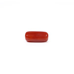 Red Coral - 3.31 Carat