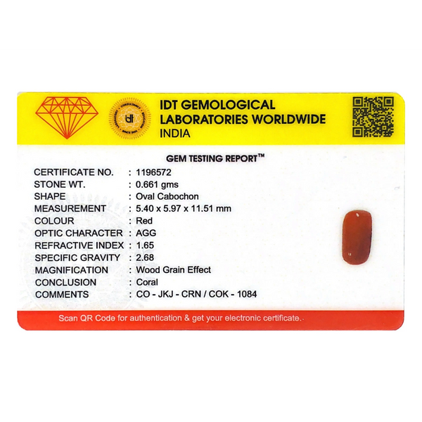 Red Coral - 3.31 Carat
