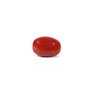 Red Coral - 3.29 Carat - Pramogh