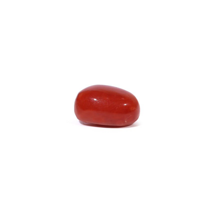 Red Coral - 3.29 Carat