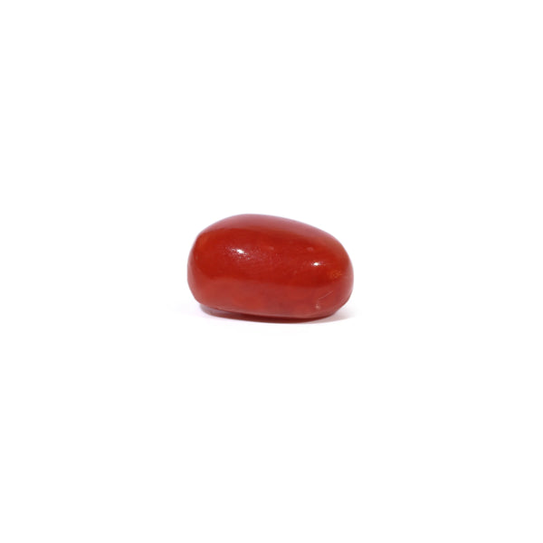 Red Coral - 3.29 Carat