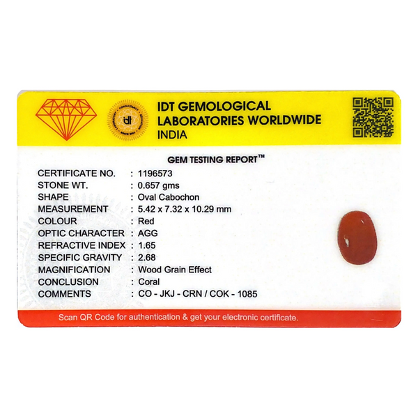 Red Coral - 3.29 Carat