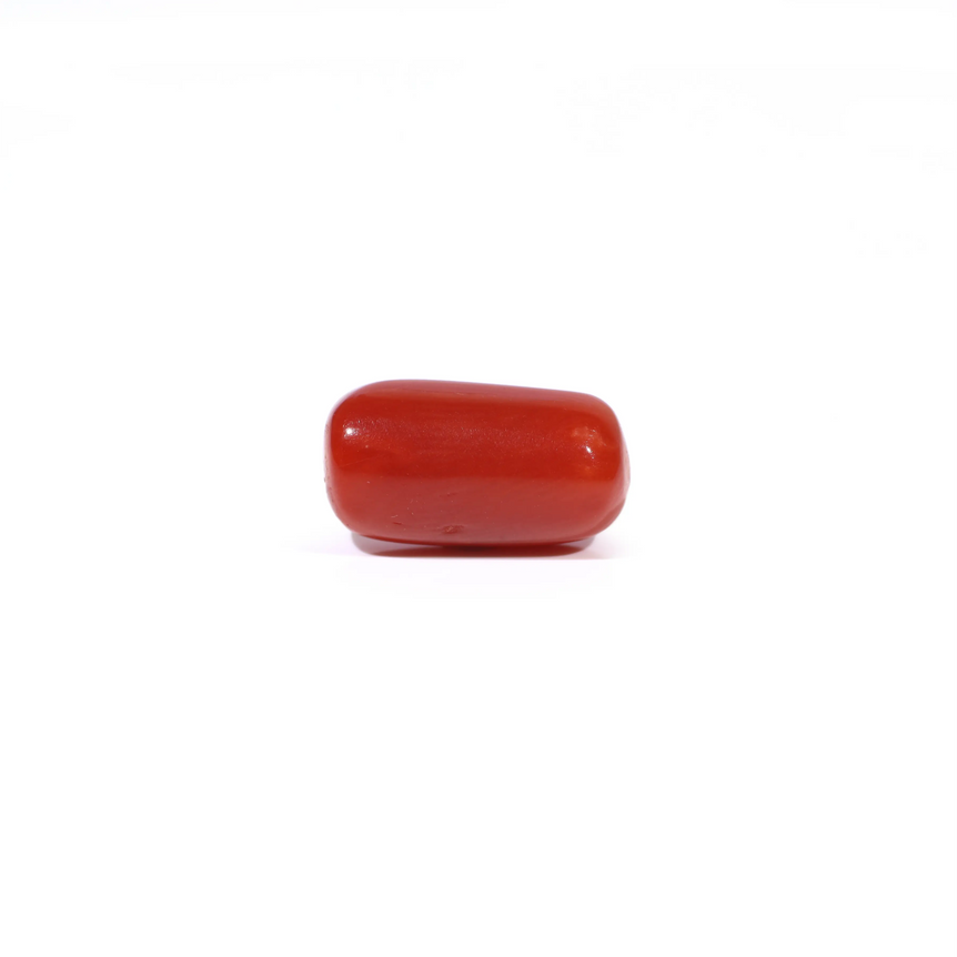 Red Coral - 3.77 Carat - Pramogh