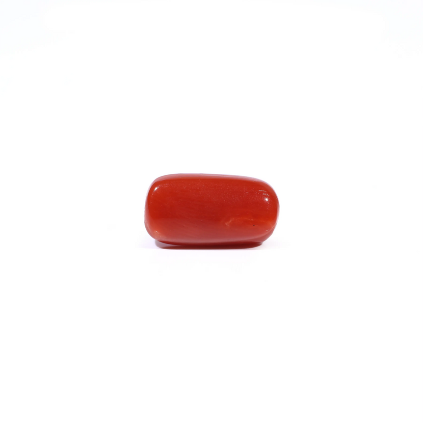 Red Coral - 3.77 Carat