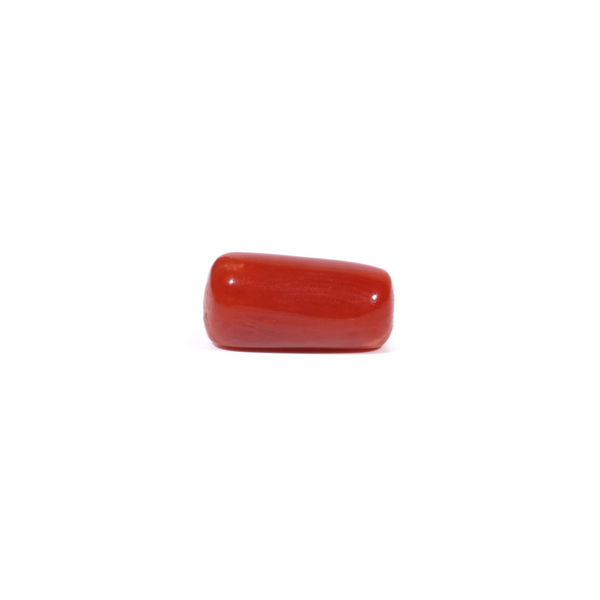 Red Coral - 3.77 Carat