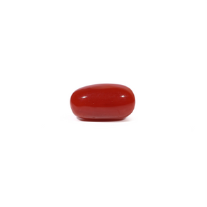 Red Coral - 3.41 Carat - Pramogh