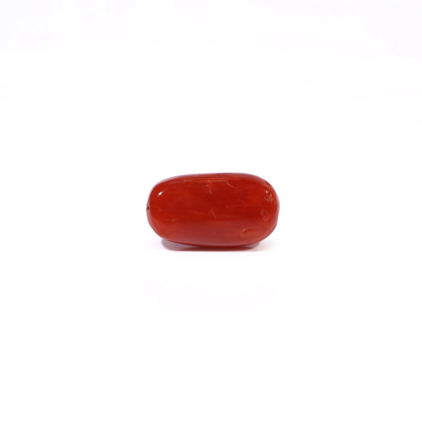 Red Coral - 3.41 Carat