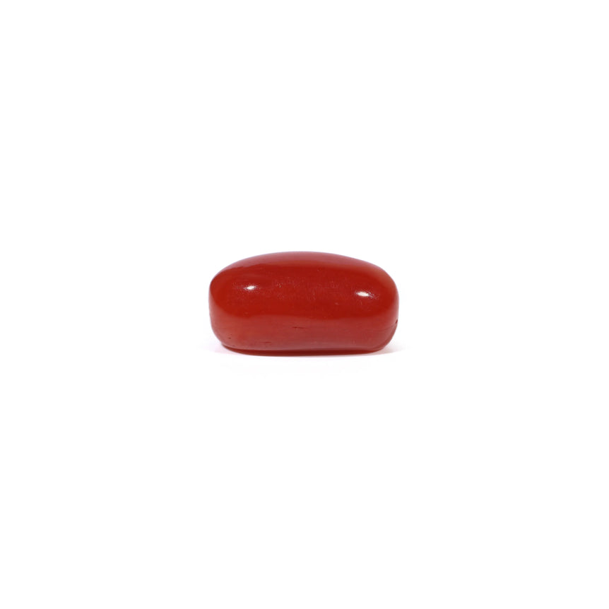 Red Coral - 3.41 Carat