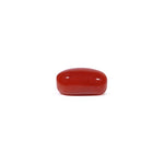 Red Coral - 3.41 Carat