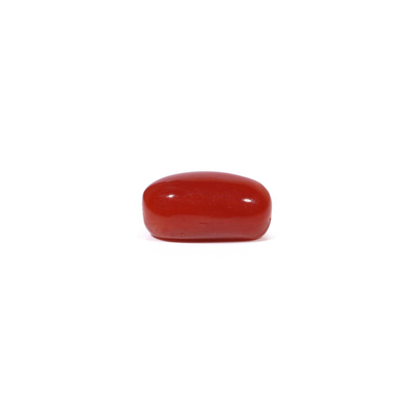 Red Coral - 3.41 Carat