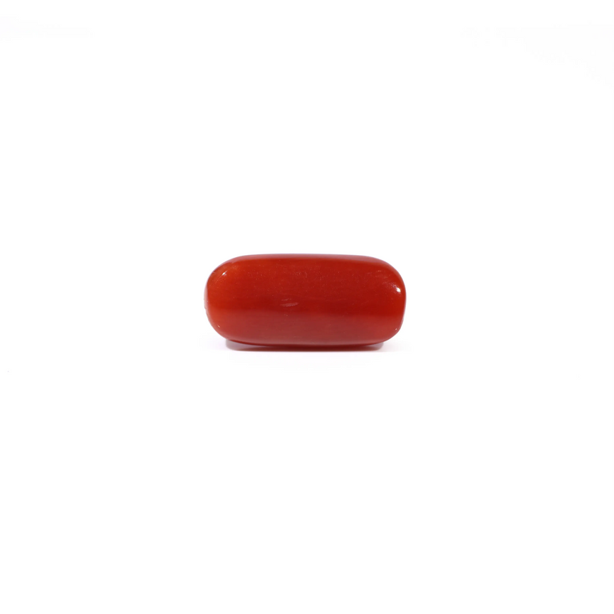 Red Coral - 3.6 Carat