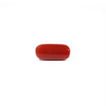 Red Coral - 3.6 Carat