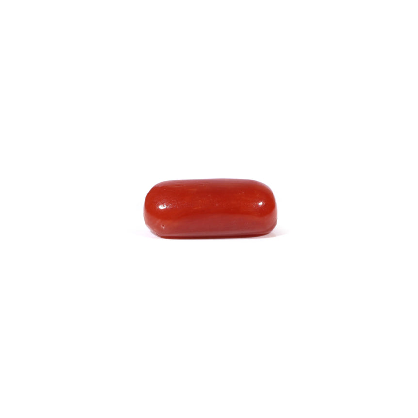Red Coral - 3.6 Carat