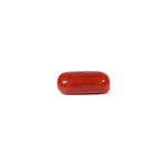 Red Coral - 3.6 Carat