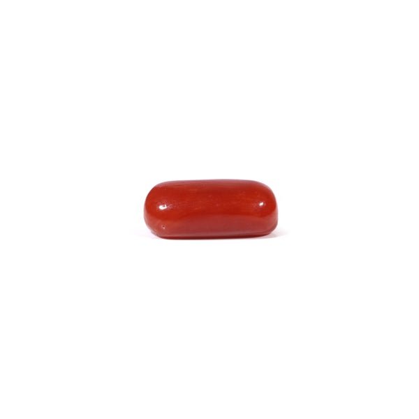 Red Coral - 3.6 Carat