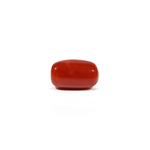 Red Coral - 3.62 Carat - Pramogh