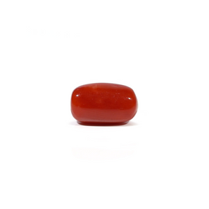 Red Coral - 3.62 Carat - Pramogh