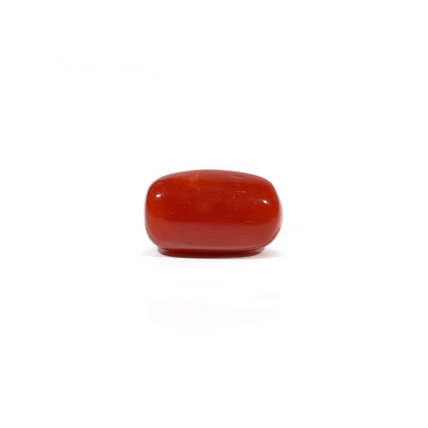 Red Coral - 3.62 Carat - Pramogh