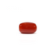 Red Coral - 3.62 Carat - Pramogh