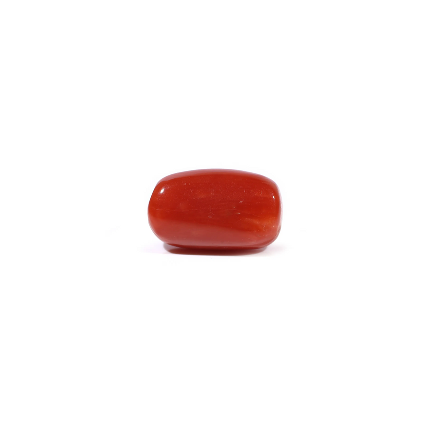Red Coral - 3.62 Carat