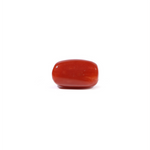 Red Coral - 3.62 Carat