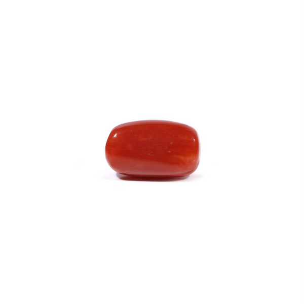 Red Coral - 3.62 Carat