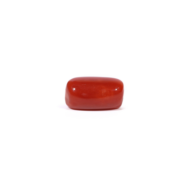 Red Coral - 3.62 Carat