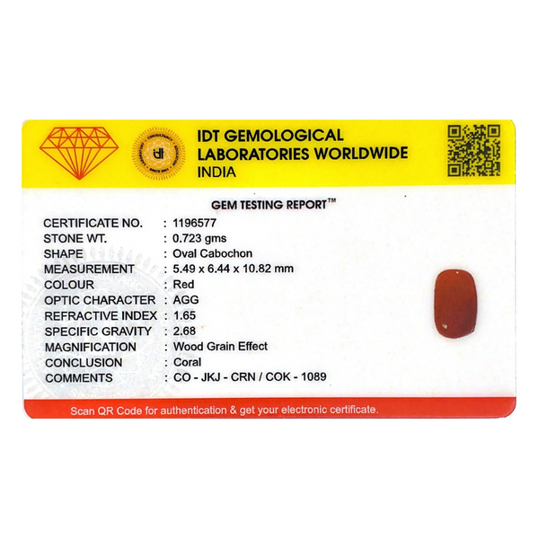 Red Coral - 3.62 Carat