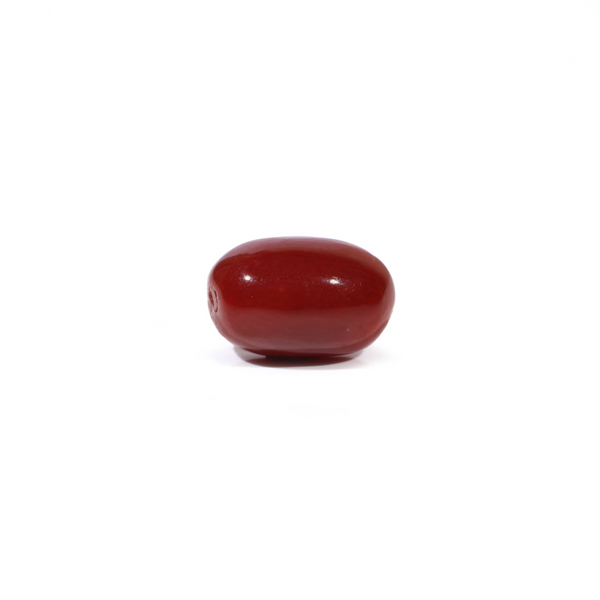 Red Coral - 3.32 Carat - Pramogh