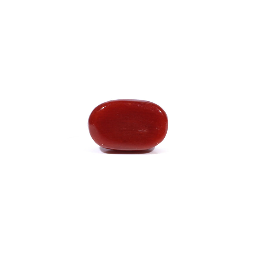 Red Coral - 3.32 Carat