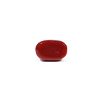Red Coral - 3.32 Carat