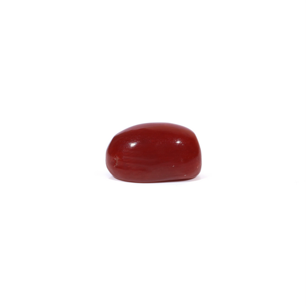 Red Coral - 3.32 Carat