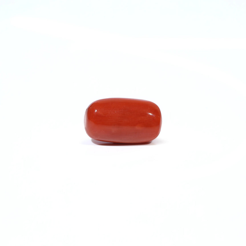 Red Coral - 3.81 Carat - Pramogh