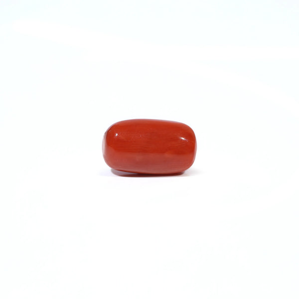Red Coral - 3.81 Carat - Pramogh
