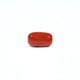Red Coral - 3.81 Carat - Pramogh