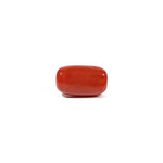 Red Coral - 3.81 Carat