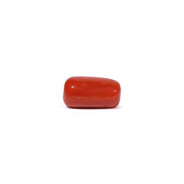 Red Coral - 3.81 Carat