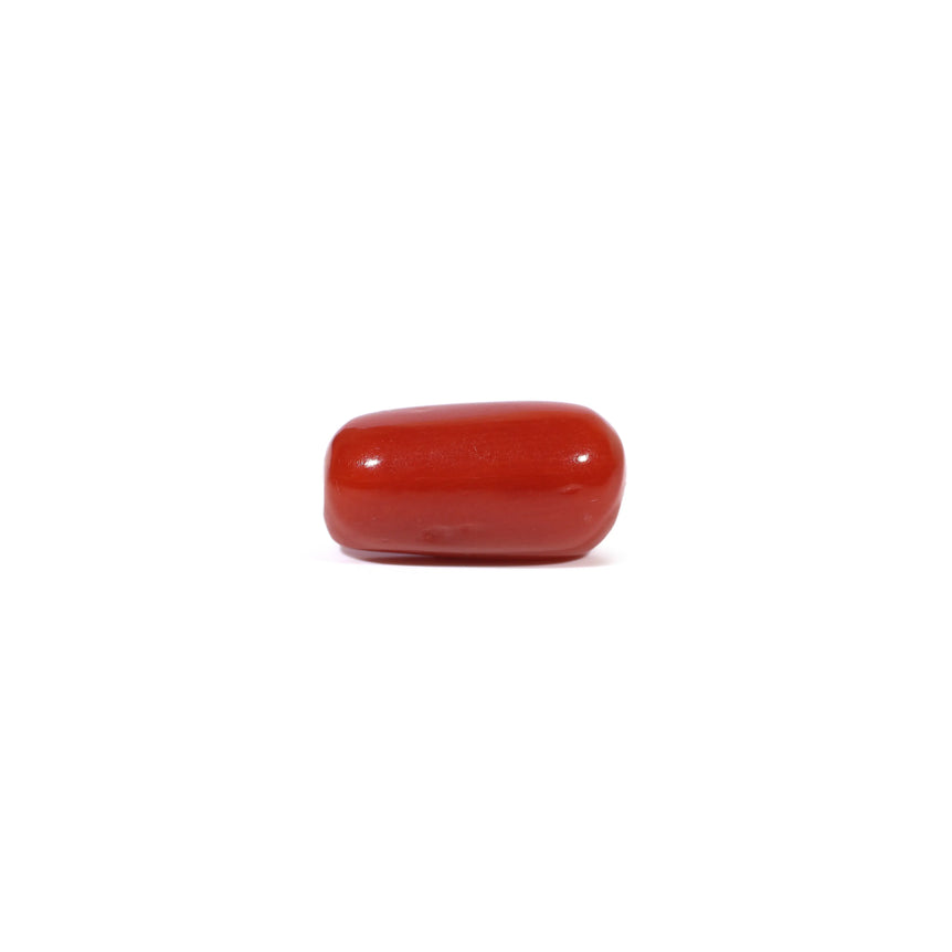 Red Coral - 3.6 Carat - Pramogh