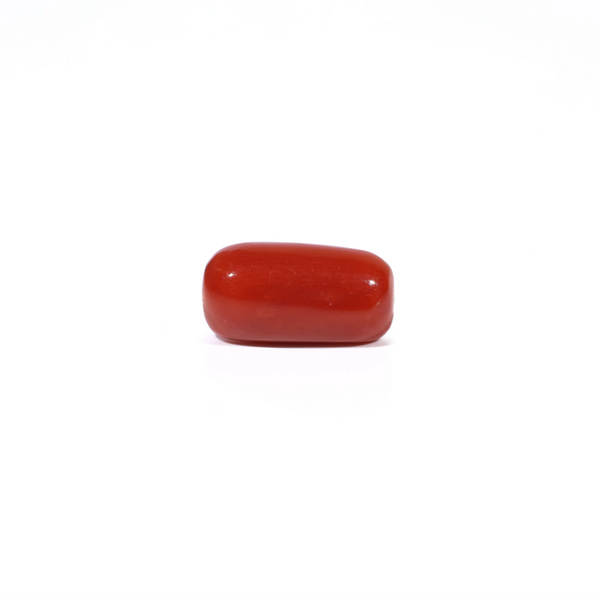 Red Coral - 3.6 Carat