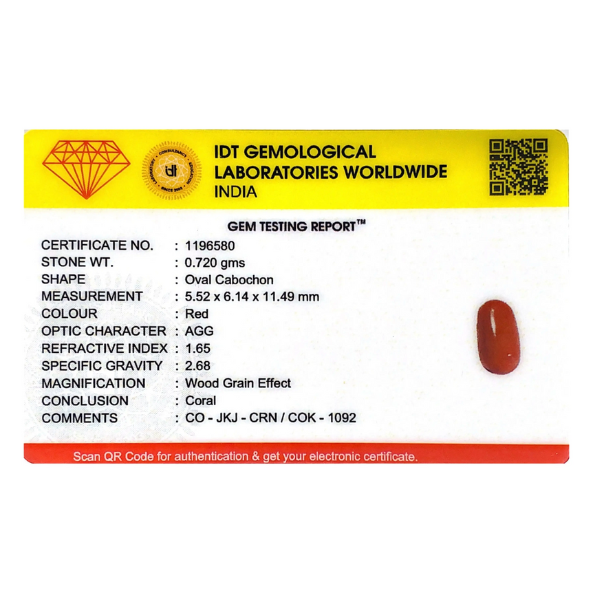 Red Coral - 3.6 Carat